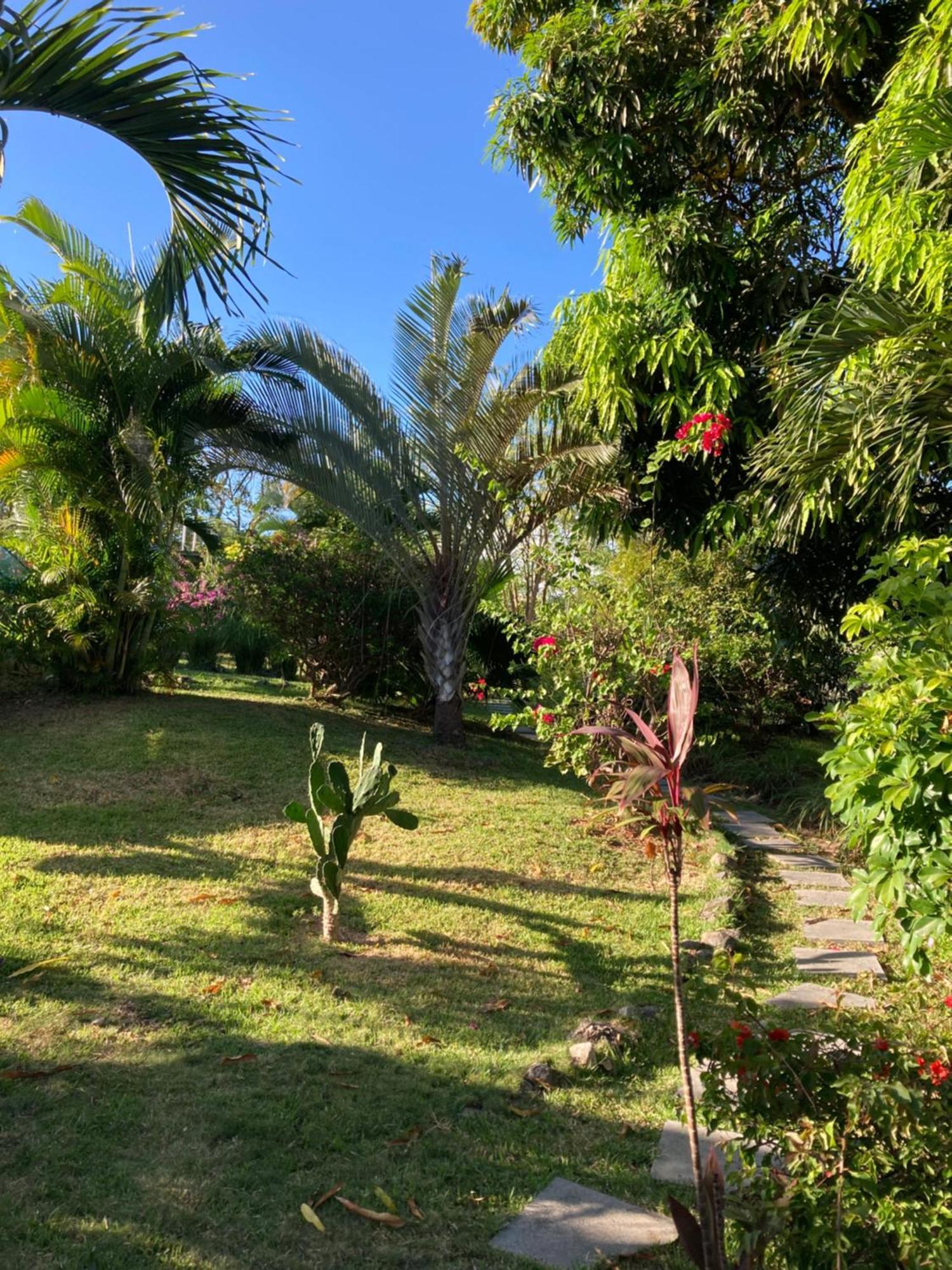 Bed and Breakfast La Maracuya Panama Плайя-Коронадо Екстер'єр фото