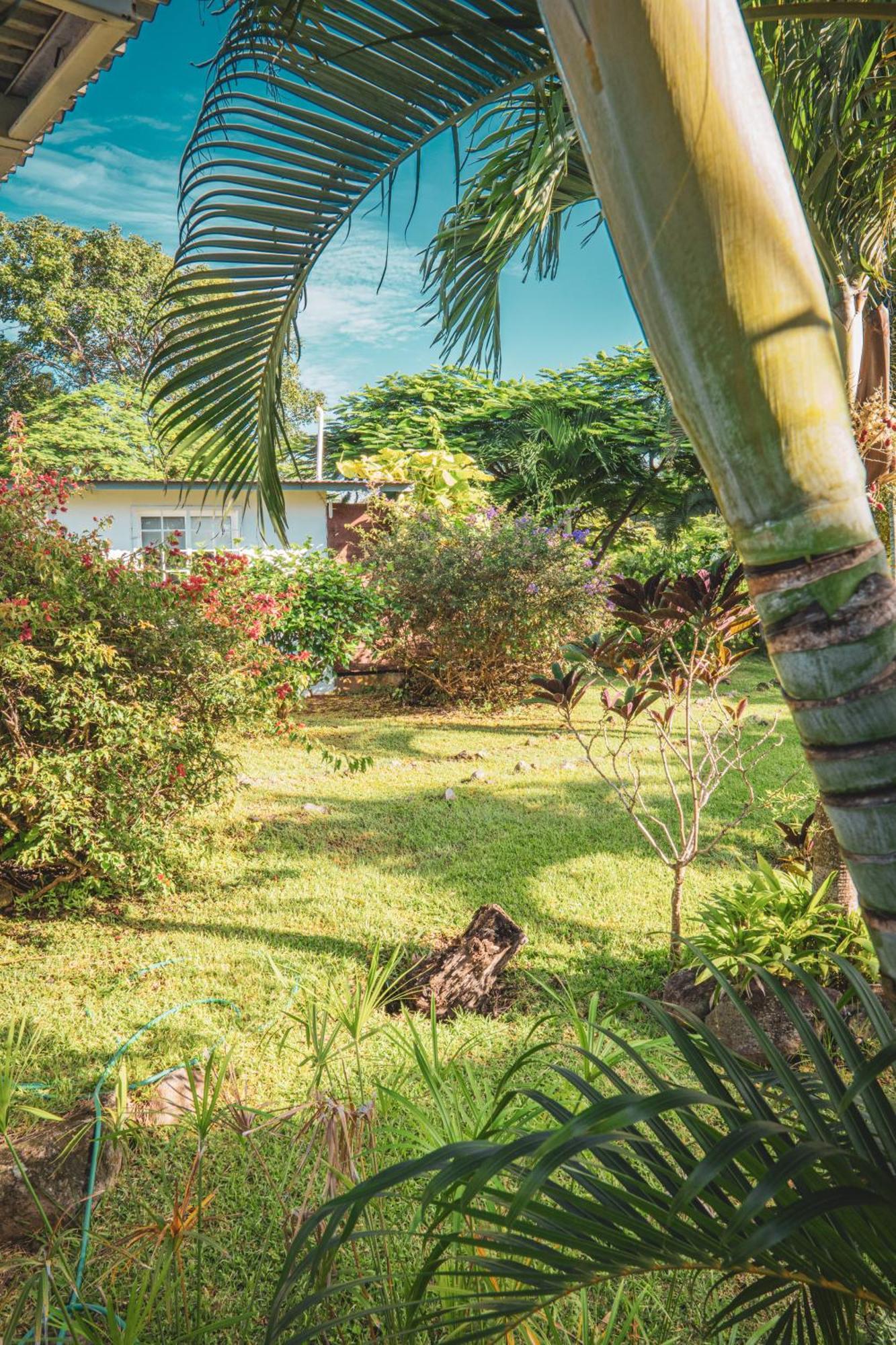 Bed and Breakfast La Maracuya Panama Плайя-Коронадо Екстер'єр фото
